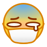 :shengbing: